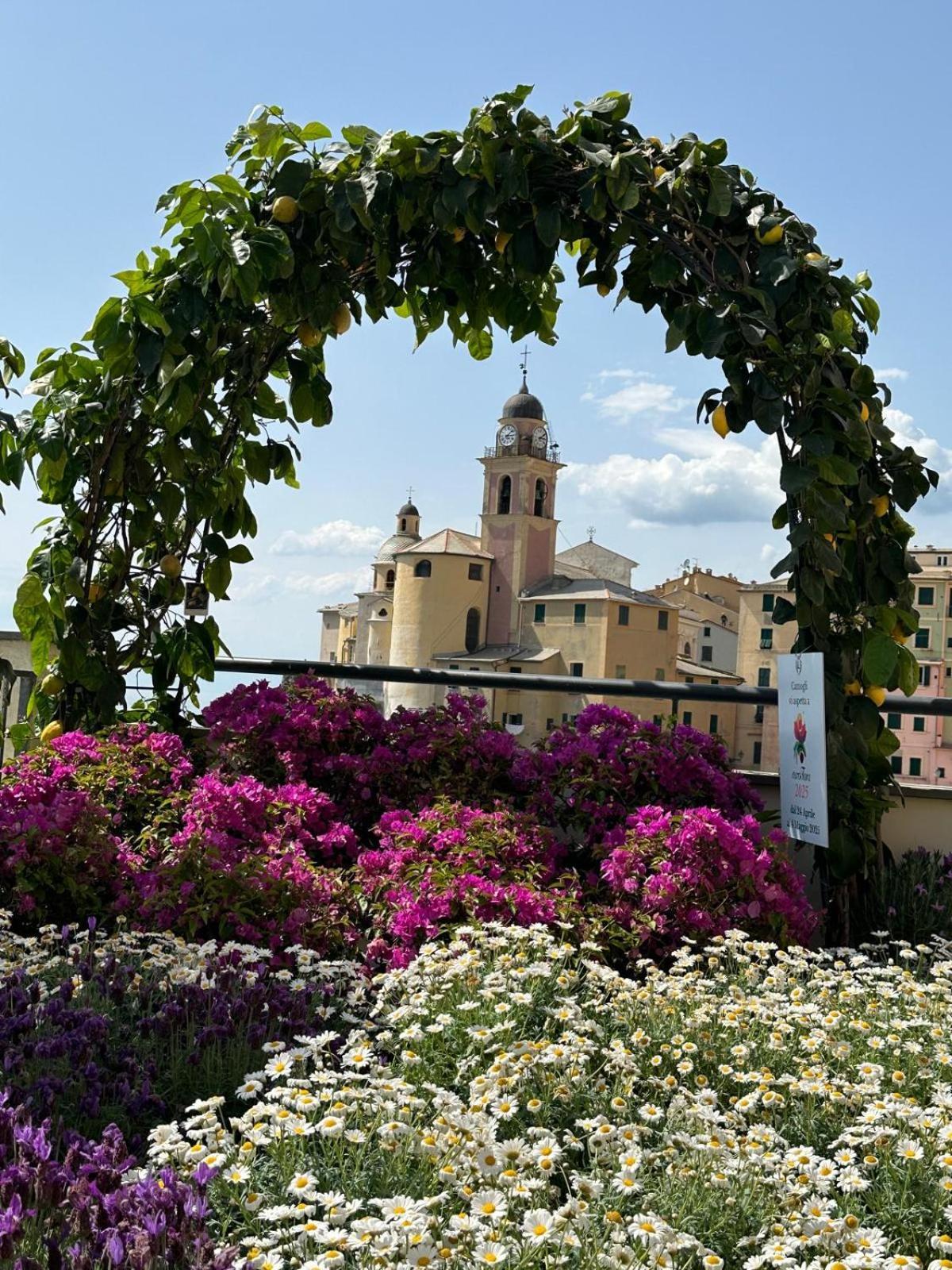 Casetta Del Marinaio Camogli Exterior photo